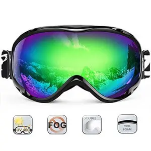Zionor Lagopus Ski Goggles